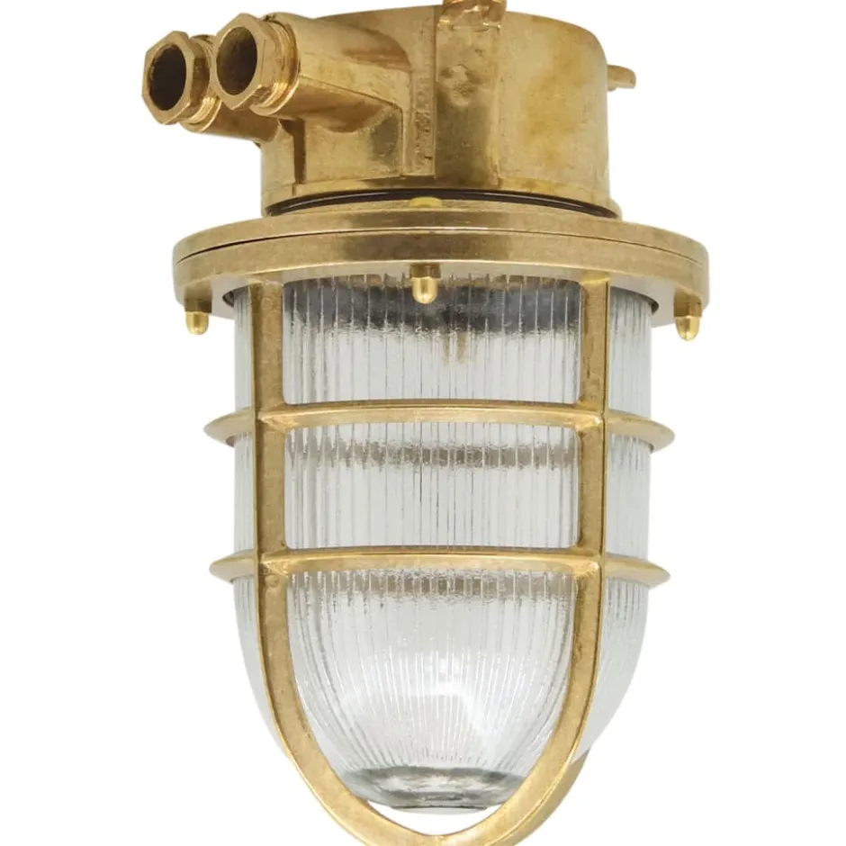 Andromeda 221 udendørs loftlampe