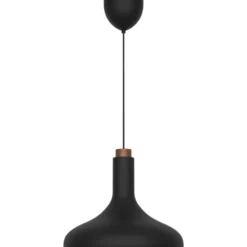 Dftp Fuji pendel, sort