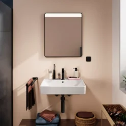 Hansgrohe Xarita Lite Q spejl med lys, 60x70 cm, sort