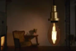 Ledvance Vintage 1906 E27 globepære, 2400K, 4W