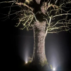 Light By Juul bedlampe med Juuliane spot, rust