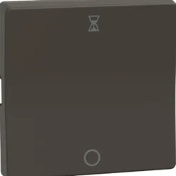 LK Fuga tangent for afbryder med timer, 10A, koksgrå