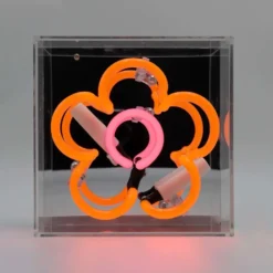 Locomocean Daisy neonskilt, orange