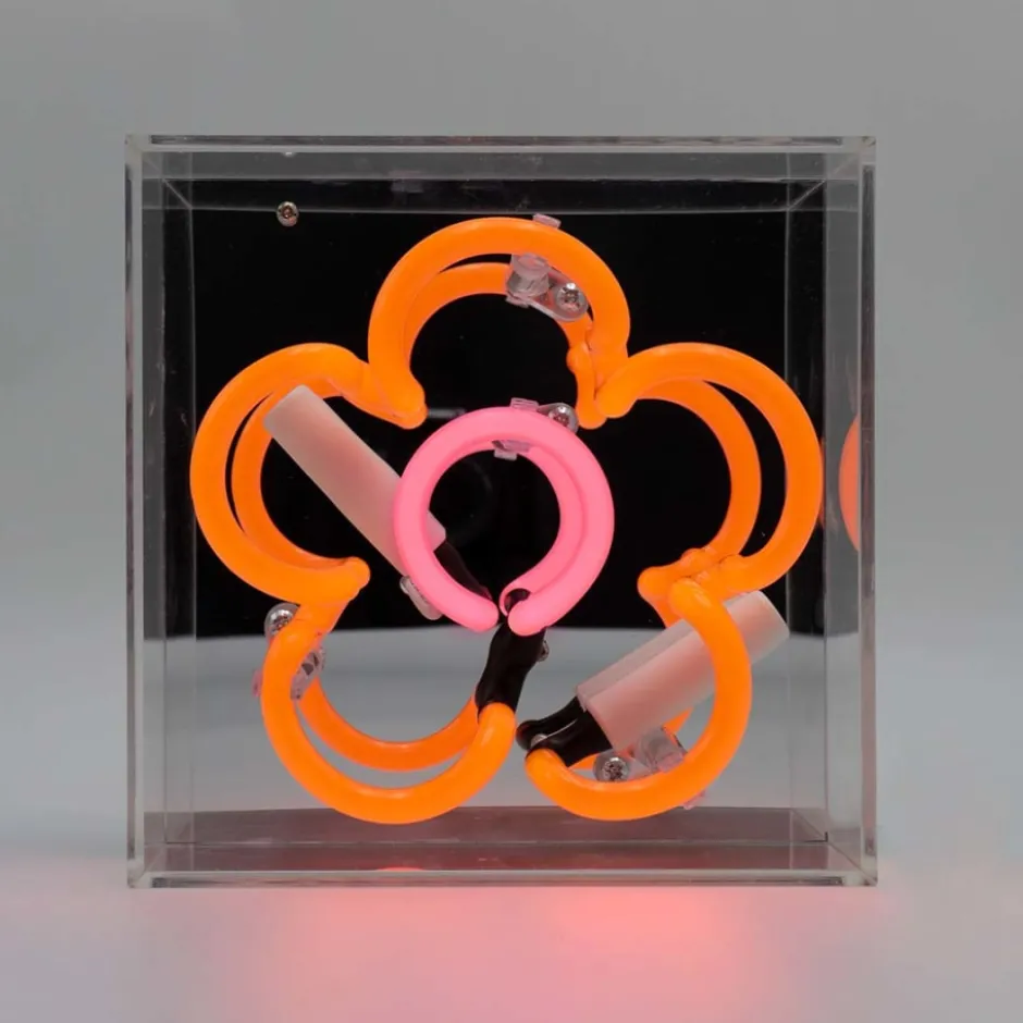 Locomocean Daisy neonskilt, orange