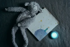 Osram Smart+ Dot It Twist & Shake lampe