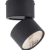 Paul Neuhaus Pure Nola spotlampe