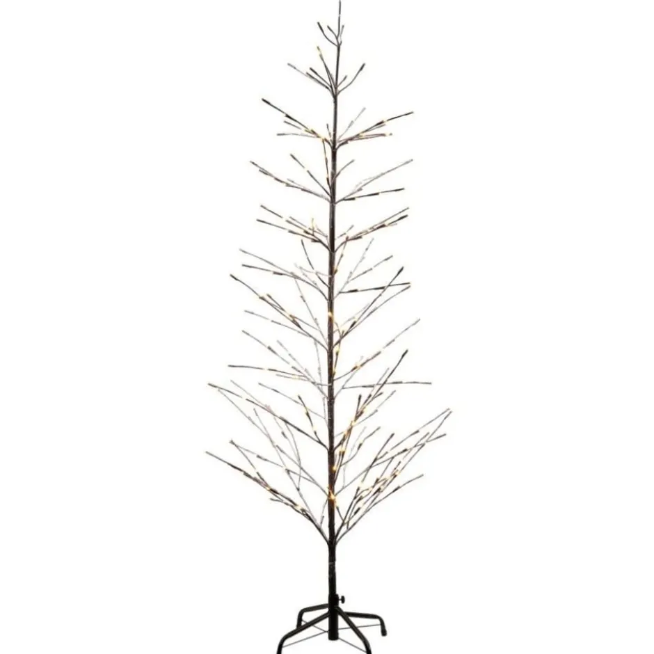 Sirius Isaac lystræ, 210 cm