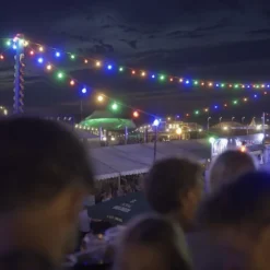Sirius Samson lyskæde til 60 pærer, 30 meter