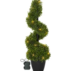 Star Trading Buxbom lystræ, 65 cm