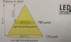 Star Trading plantelys (planten holdes pæn)