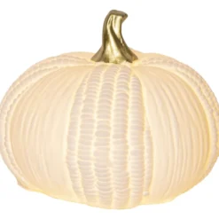 Star Trading Pumpkin græskar med lys, 12 cm