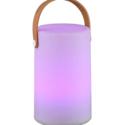 Trio Lighting Aruba genopladelig bordlampe