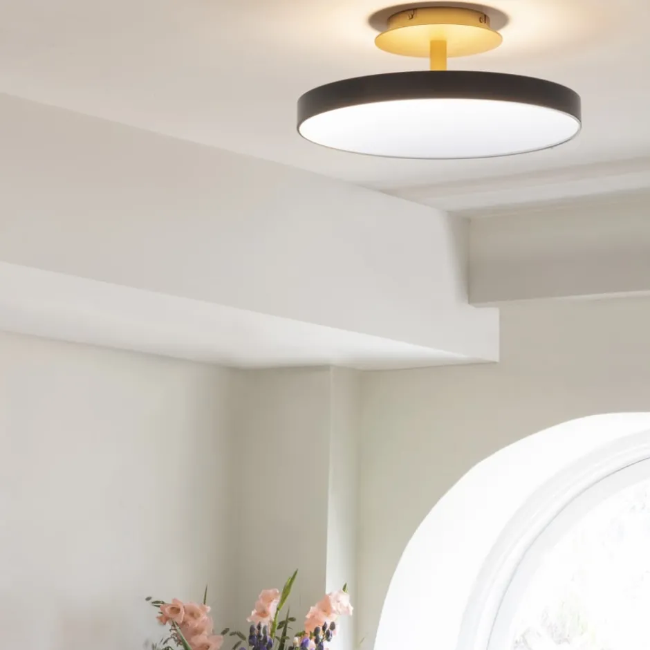 Umage Asteria Up loftlampe, grå, Ø43 cm