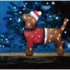 Veli Line julehund